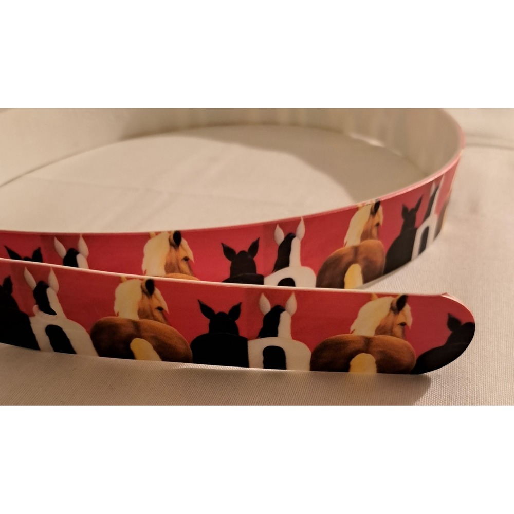 Novelty Belt Set 3 Plastic Buckle Horses and  Horseshoe Patterns‎ - Picture 12 of 15